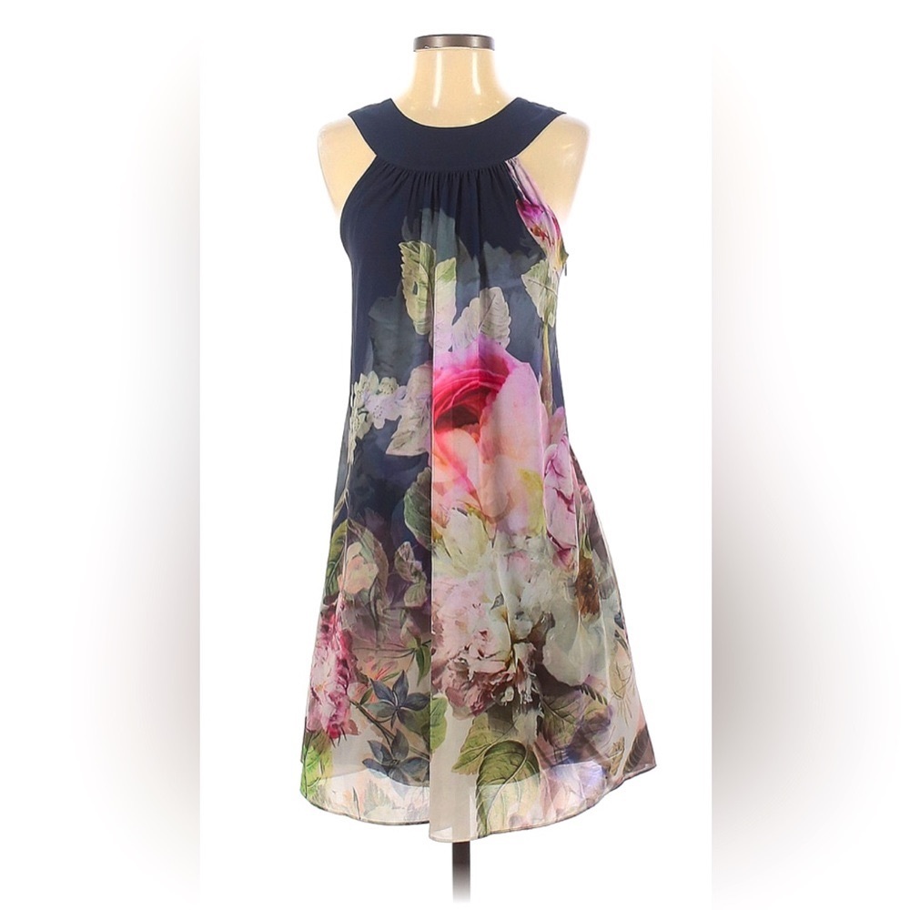 Ted Baker London Swing Dress Ombre Peony Print